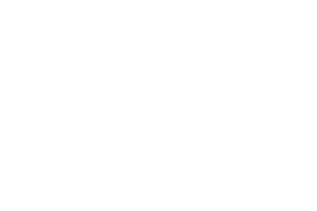 Logo Certified Management Consultant